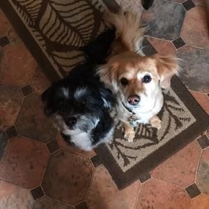 Meet your Posher, Carolyn